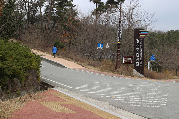 resize9268 写真: resize9268