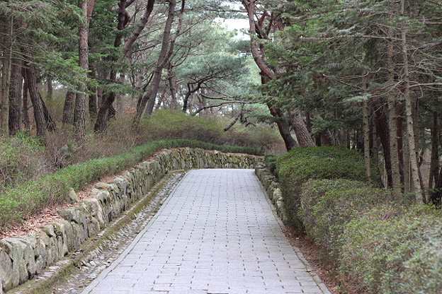 resize9284 写真: resize9284
