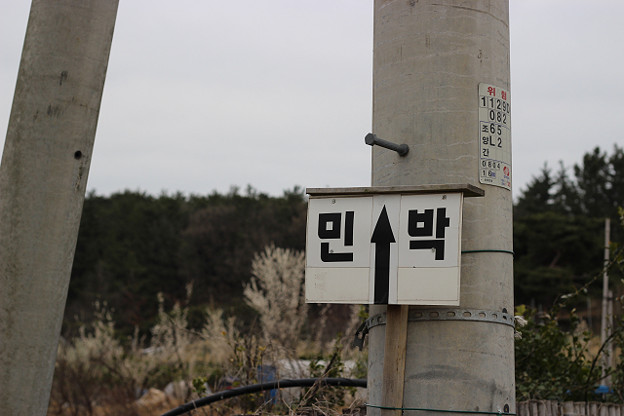 resize9322 写真: resize9322