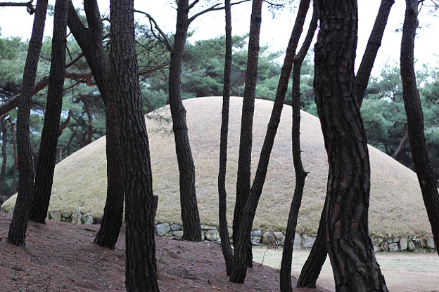 resize9332 写真: resize9332