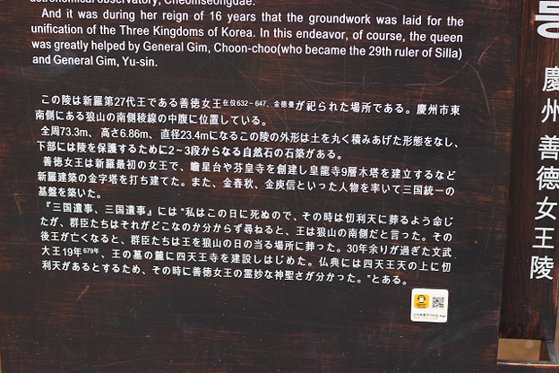 resize9335 写真: resize9335