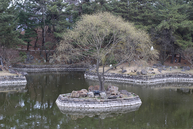 resize9346 写真: resize9346