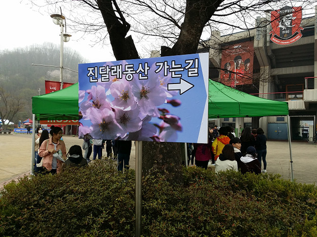 resize9742 写真: resize9742