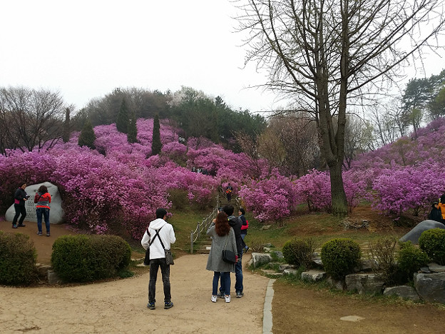 resize9746 写真: resize9746