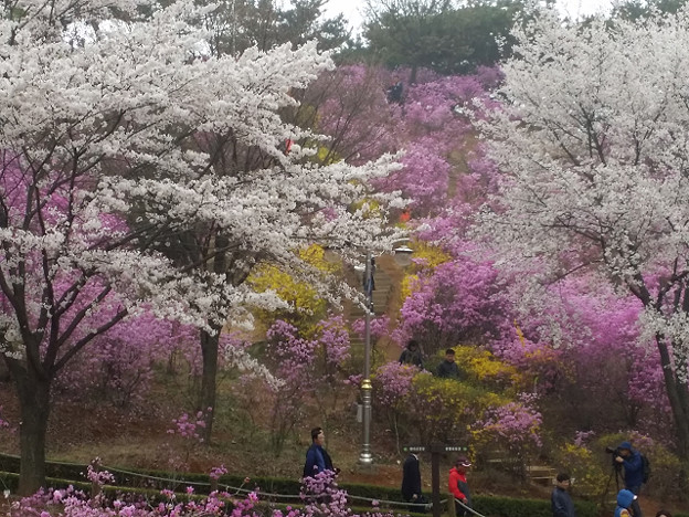 resize9752 写真: resize9752