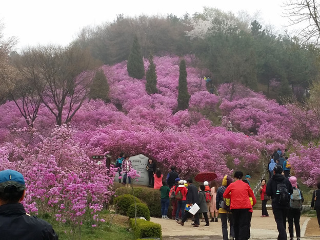 resize9754 写真: resize9754