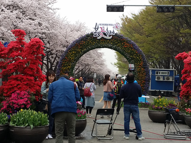 resize9761 写真: resize9761