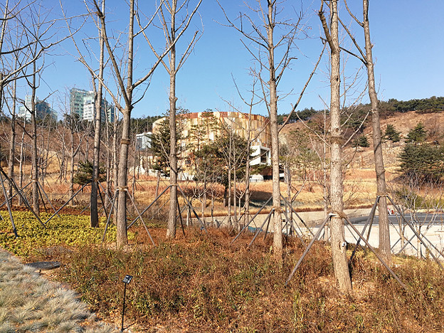 resize20856 写真: resize20856