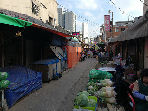 resize20961 写真: resize20961