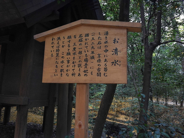 resize21082 写真: resize21082