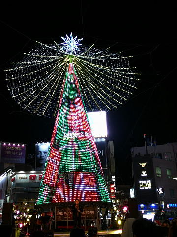 resize21207 写真: resize21207