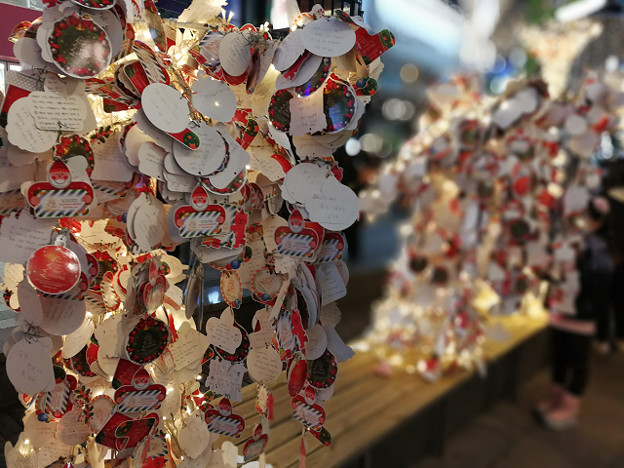 resize21259 写真: resize21259