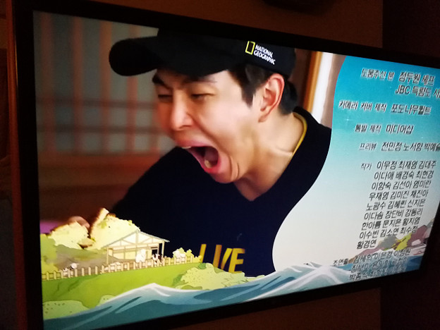 resize21299 写真: resize21299
