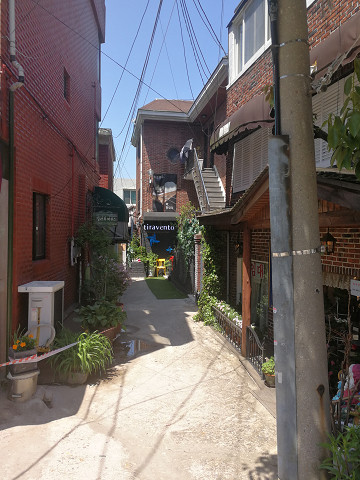 resize21604 写真: resize21604