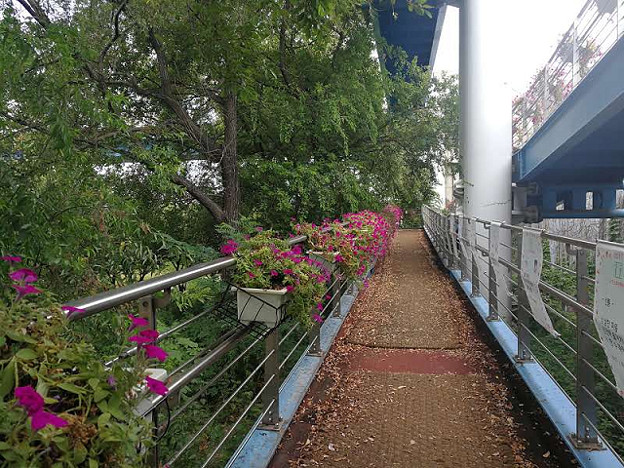 resize23534 写真: resize23534