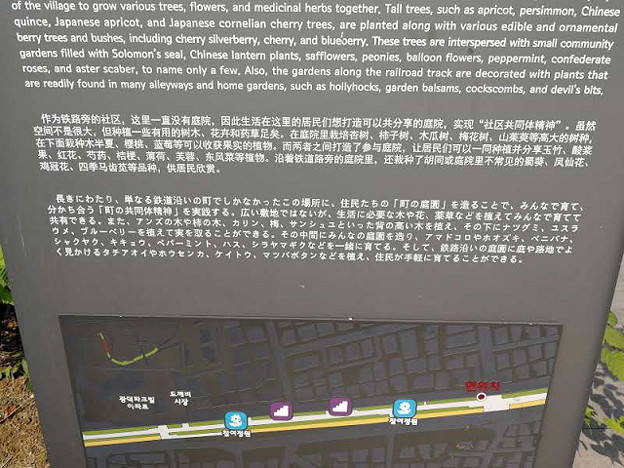 resize23702 写真: resize23702