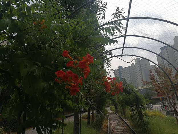 resize23712 写真: resize23712