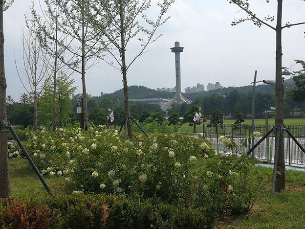 resize23744 写真: resize23744