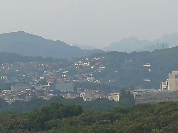 resize23782 写真: resize23782
