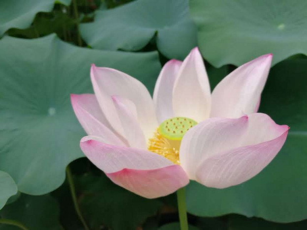resize23881 写真: resize23881