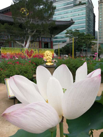 resize23887 写真: resize23887