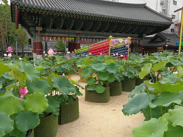 resize23889 写真: resize23889