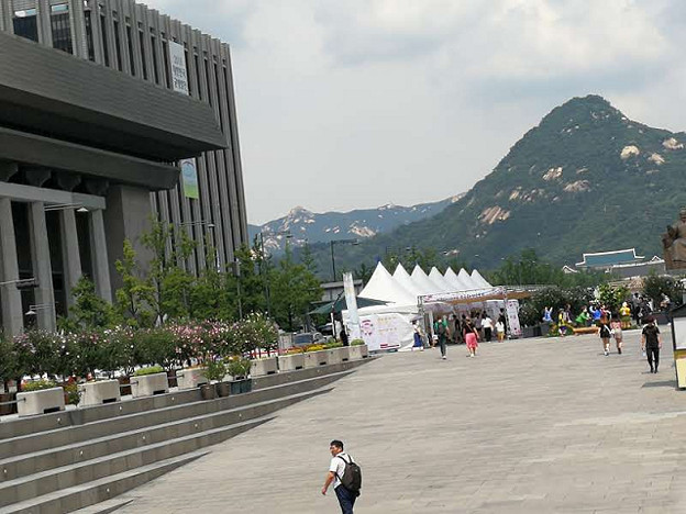 resize23904 写真: resize23904