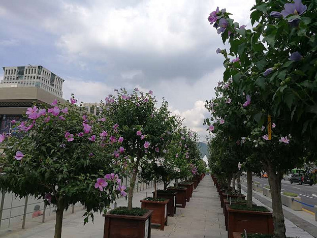 resize23905 写真: resize23905