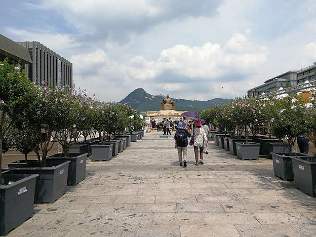 resize23912 写真: resize23912