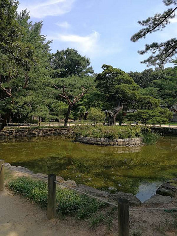 resize23961 写真: resize23961