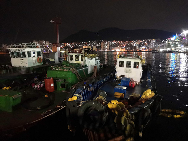 resize24379 写真: resize24379