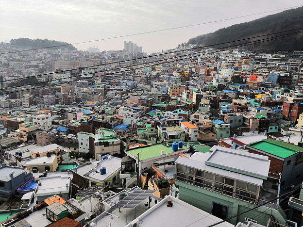 resize24443 写真: resize24443