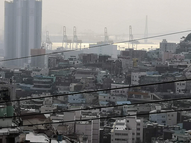 resize24457 写真: resize24457