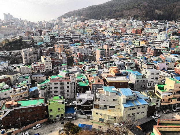 resize24483 写真: resize24483