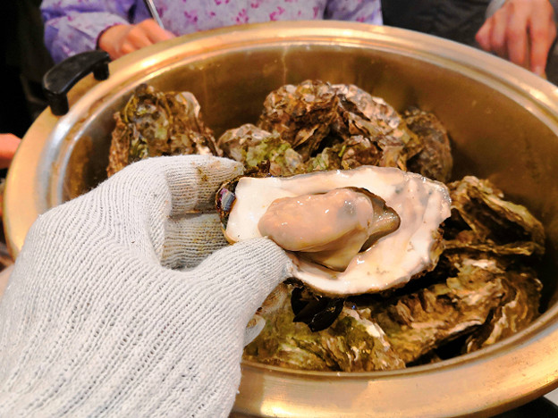 resize24764 写真: resize24764