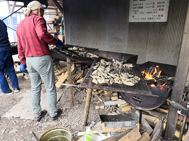 resize24918 写真: resize24918