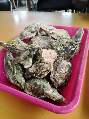 resize24926 写真: resize24926