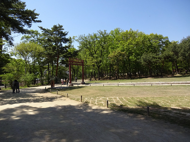 resize22717 写真: resize22717