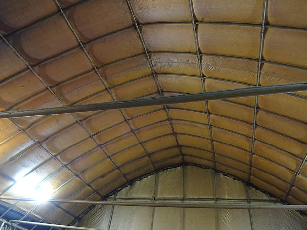 resize22731 写真: resize22731