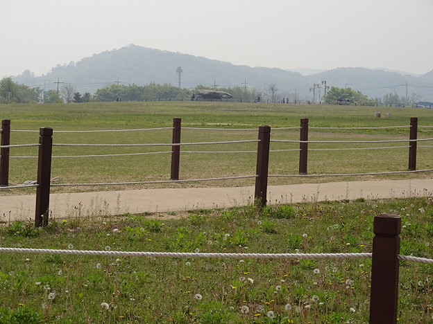 resize22965 写真: resize22965