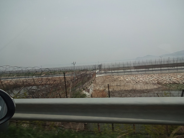 resize22982 写真: resize22982