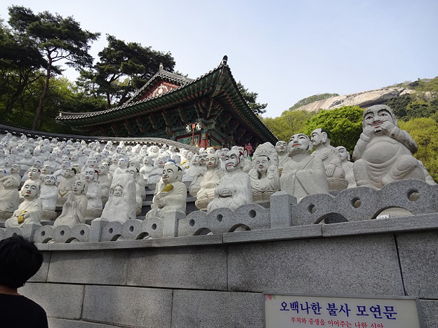 resize23032 写真: resize23032
