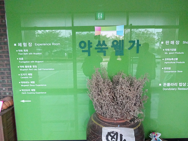 resize23055 写真: resize23055