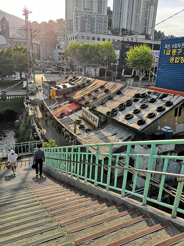 resize23331 写真: resize23331