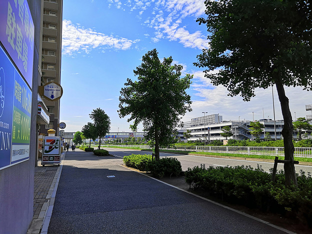 resize25916 写真: resize25916