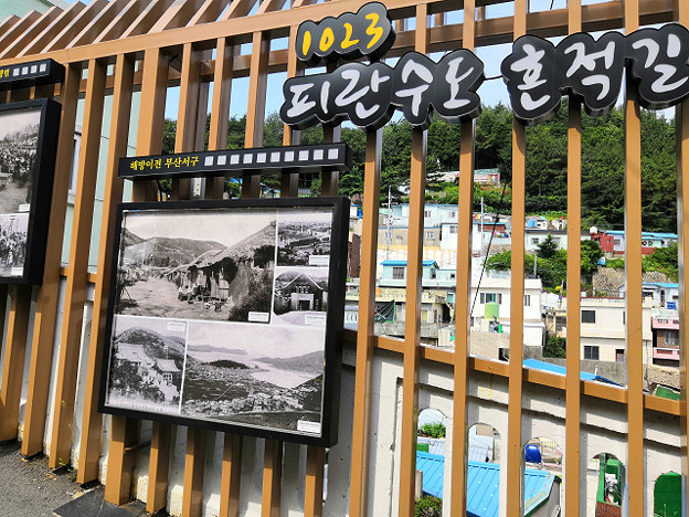 resize25763 写真: resize25763