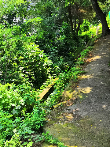 resize25772 写真: resize25772