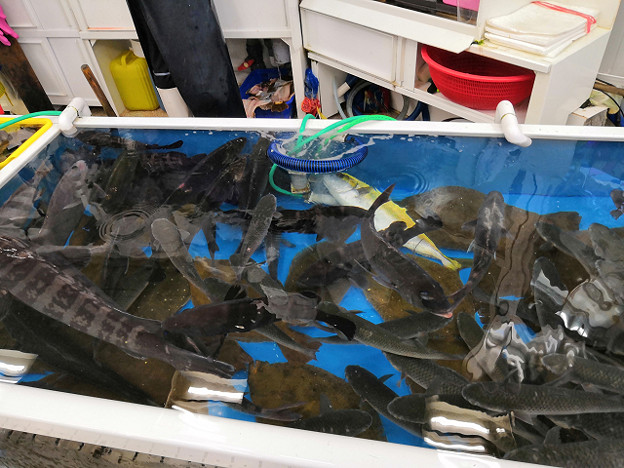 resize25863 写真: resize25863