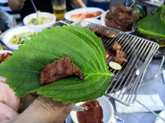 resize26025 写真: resize26025