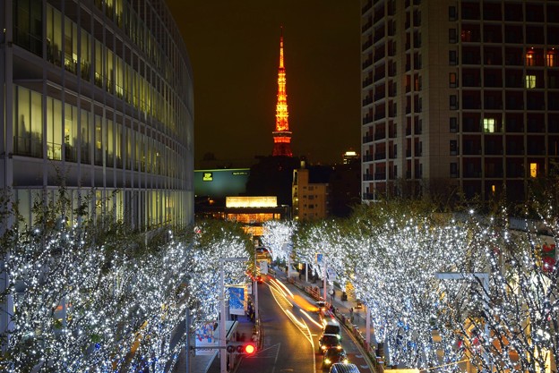 けやき坂からの東京タワー 東京 Mysky 夜景 イルミネーション Xmas 写真共有サイト フォト蔵